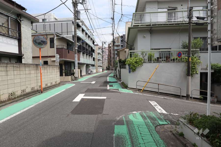 敷地の北東側前面道路（北西側から）