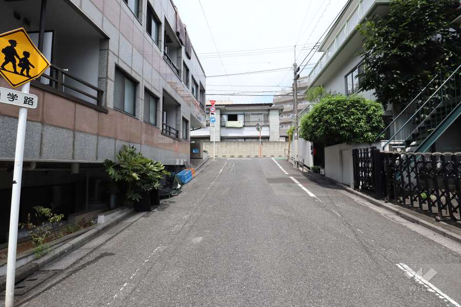 敷地の南東側前面道路（南西側から）