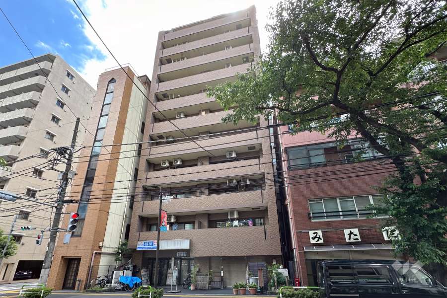 ダイアパレスグランデージ板橋の外観（北東側から）
