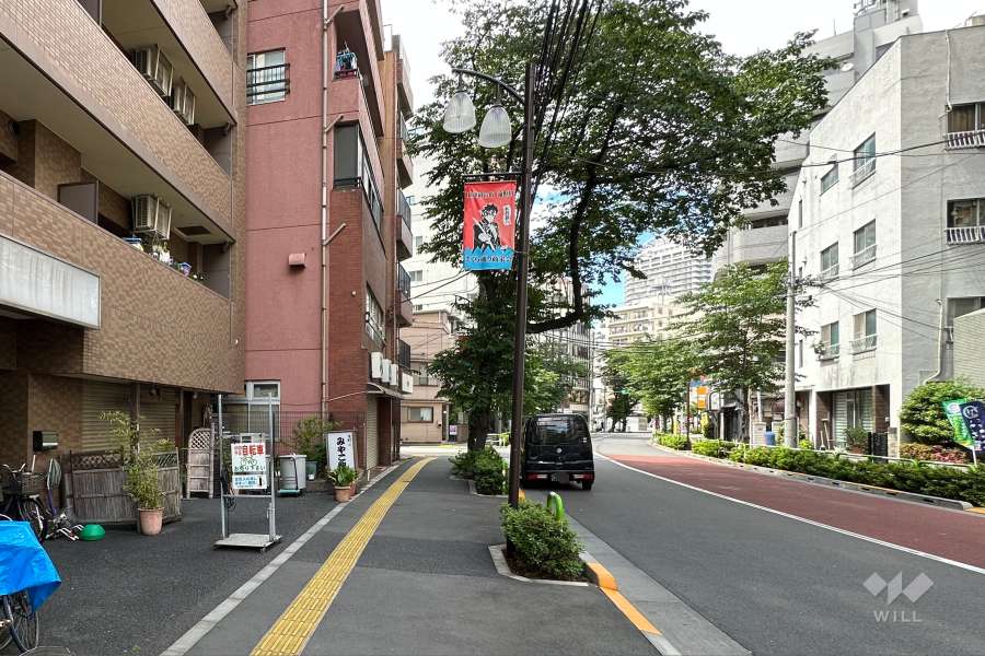 敷地の東側前面道路（南側から）
