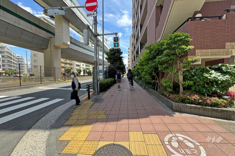 敷地の北東側前面道路（北西側から）