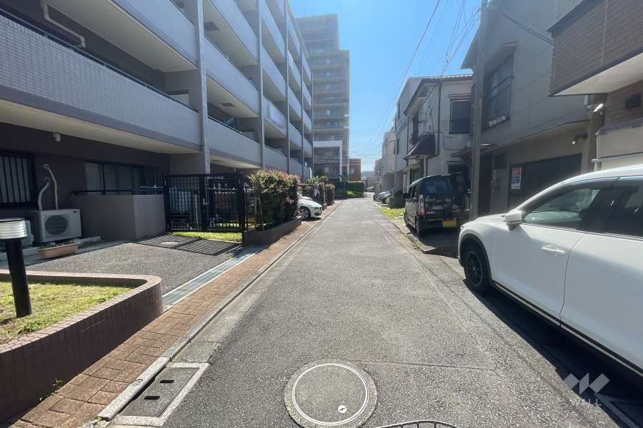 敷地南側の前面道路（西側から）