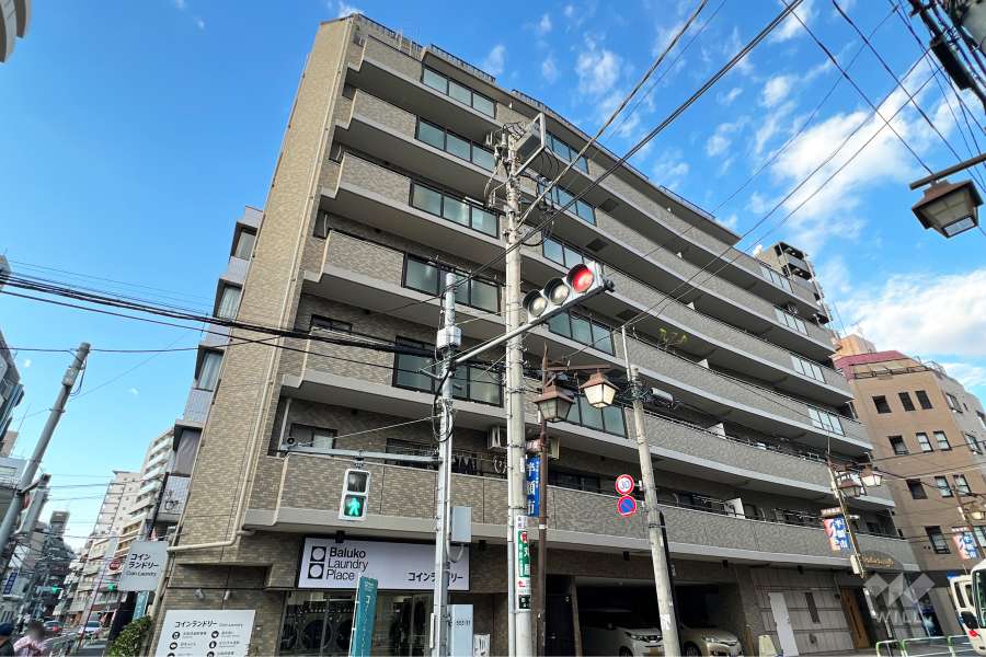 ダイアパレス駒込の外観（南側から）