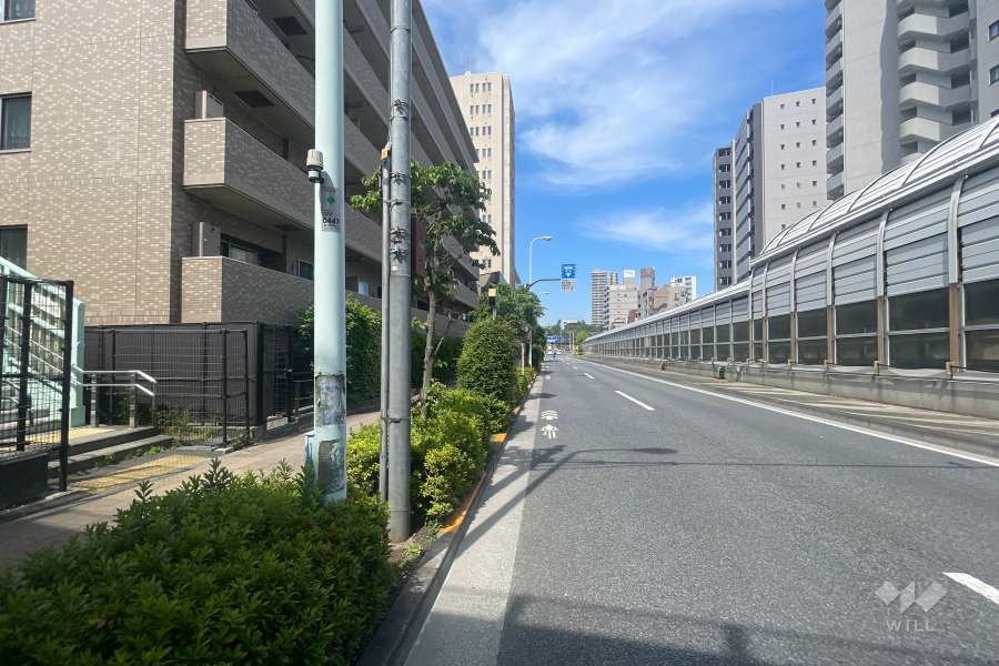 敷地の南側前面道路（西側から）