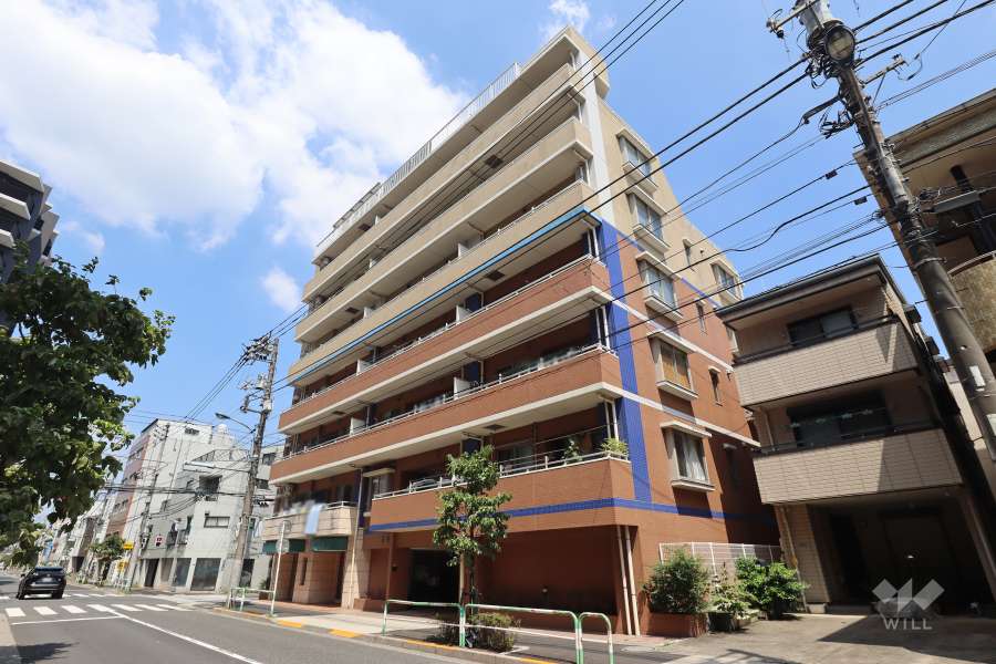 東十条ダイヤモンドマンションの外観（南側から）