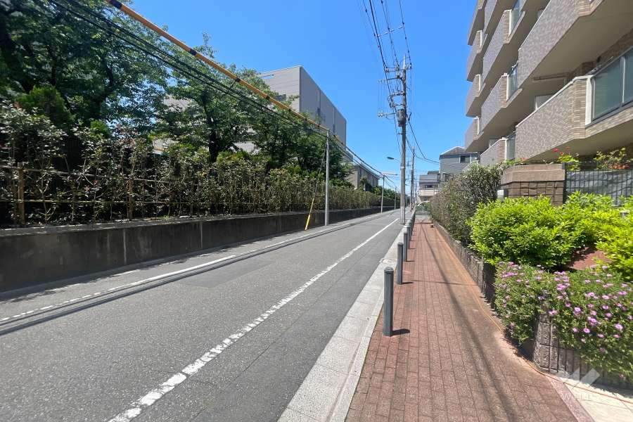 敷地西側の前面道路　