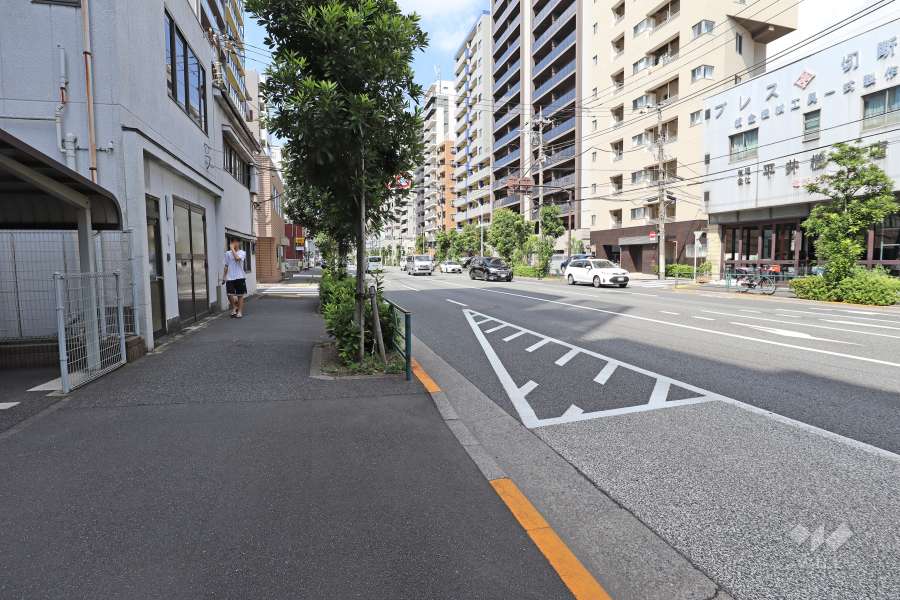 敷地北東側の前面道路（南東側から）