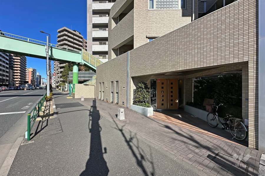 敷地西側の前面道路（南側から）