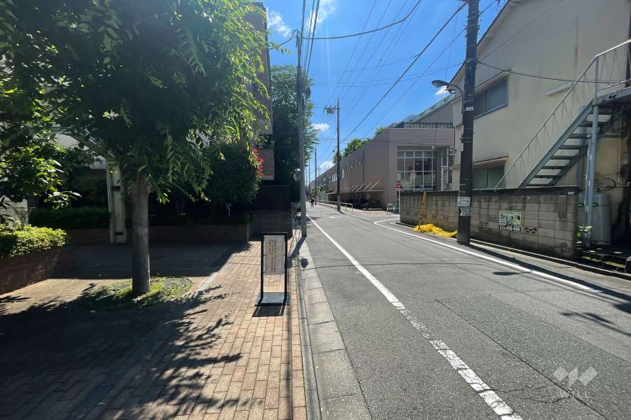 敷地南西側の前面道路（北西側から）
