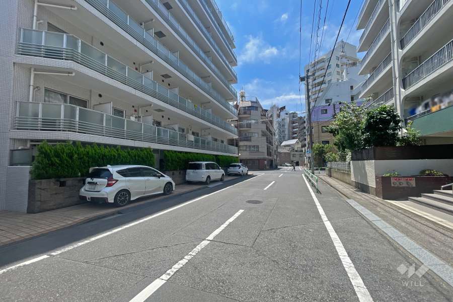 敷地西側の前面道路（北側から）