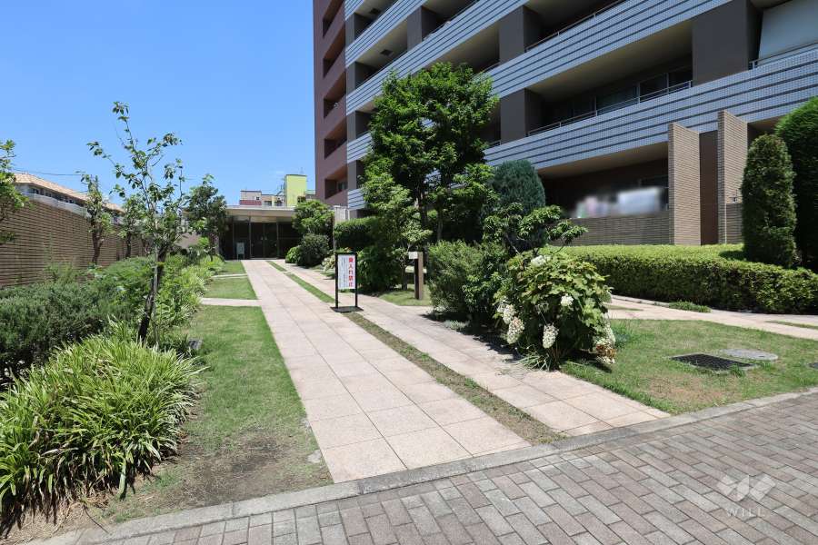 エントランスアプローチ