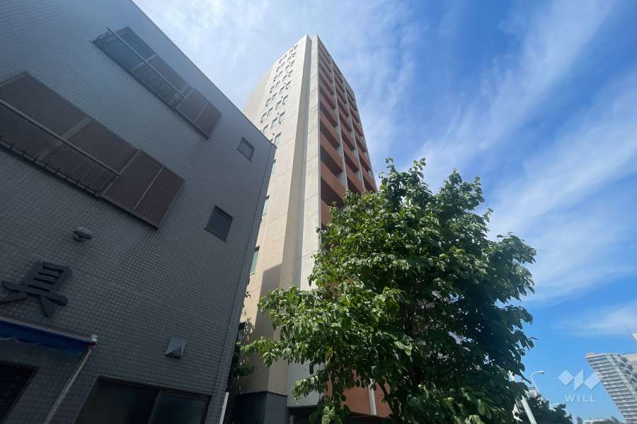 パレホームズ飛鳥山の外観（南西側から）