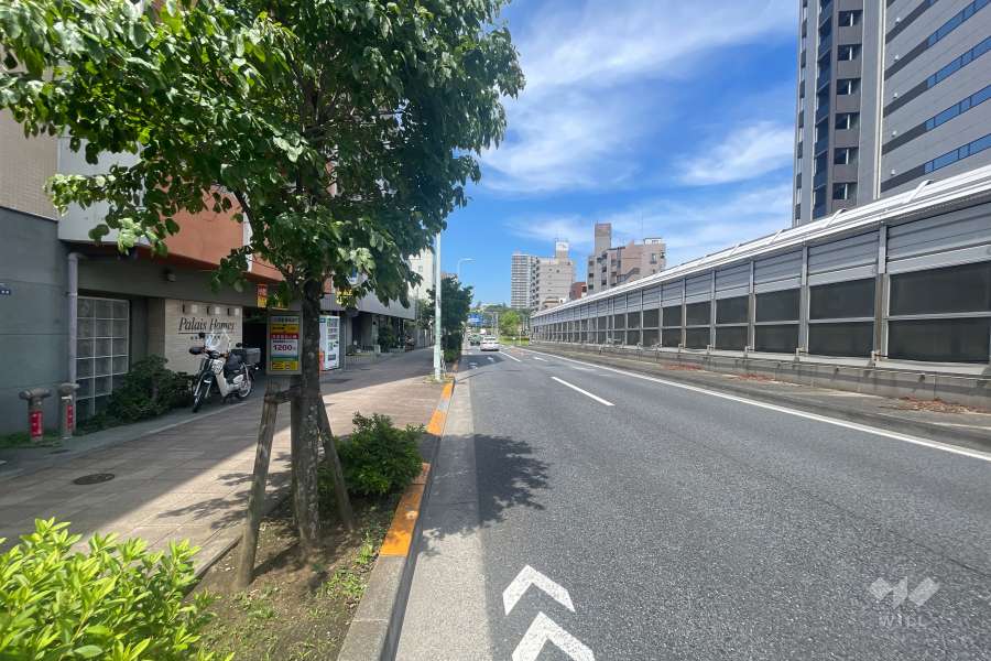敷地の南側前面道路（西側から）