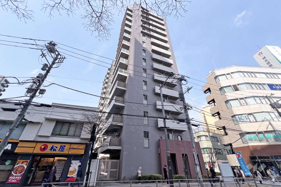 アドレシアの外観（南東側から）