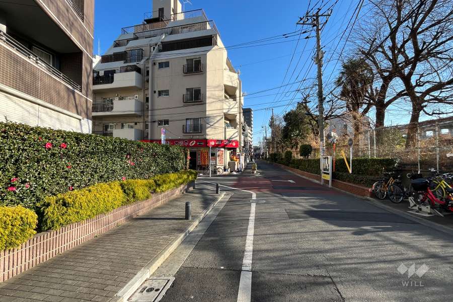 敷地の南西側前面道路（北西側から）