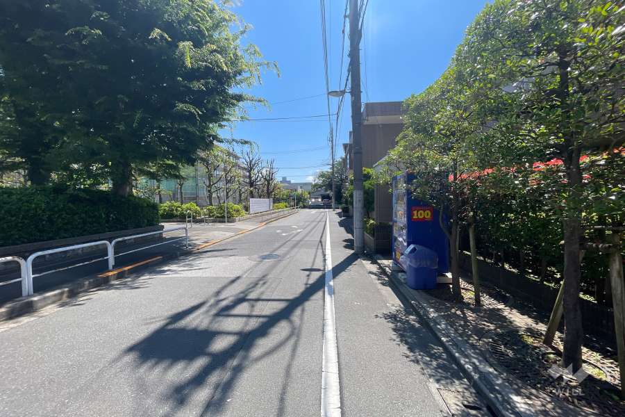 敷地の北側前面道路（西側から）