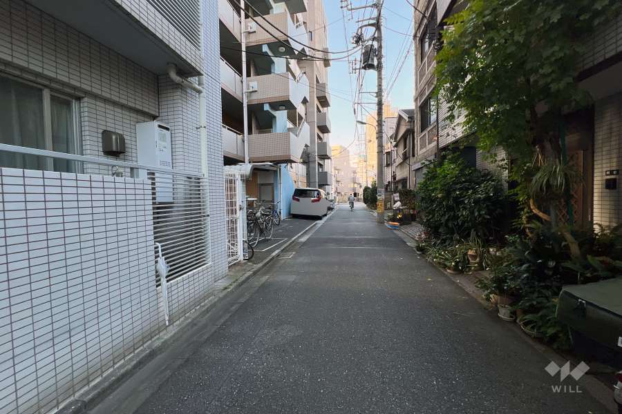 敷地の北東側前面道路（南東側から）