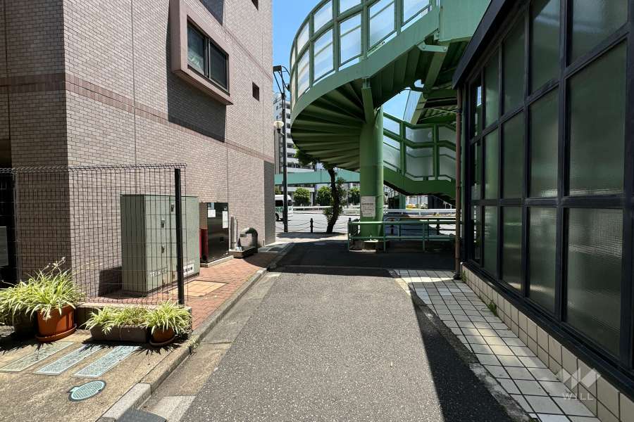 敷地の南側前面道路（西側から）