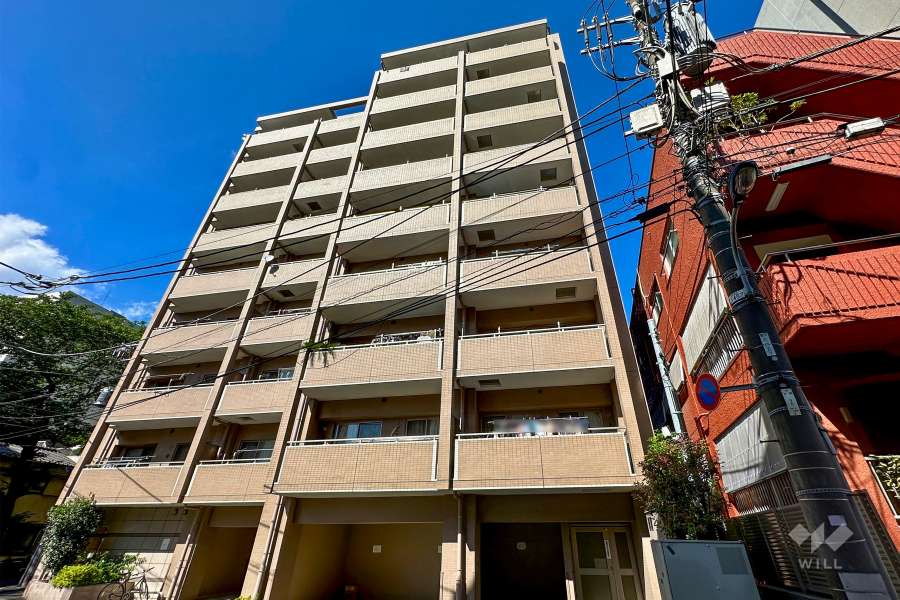 日神パレステージ板橋の外観（南西側から）