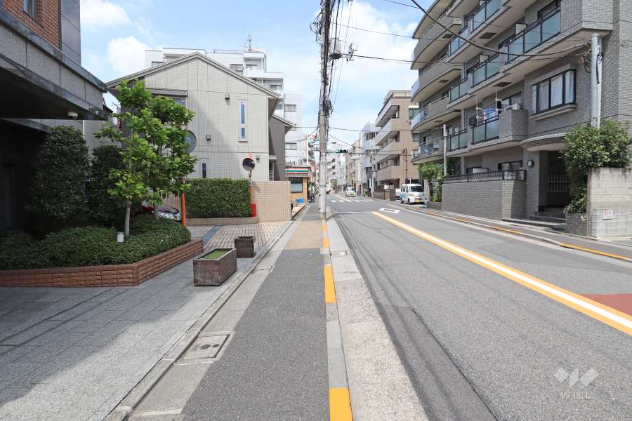 敷地北東側の前面道路（南東側から）