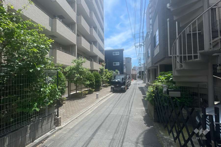 敷地南側の前面道路（西側から）