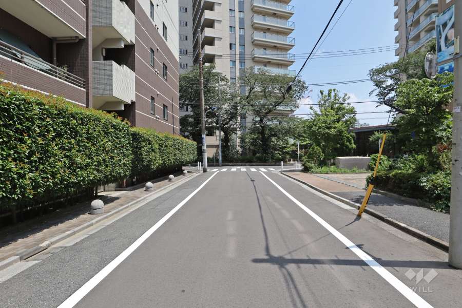 敷地南側の前面道路（西側から）