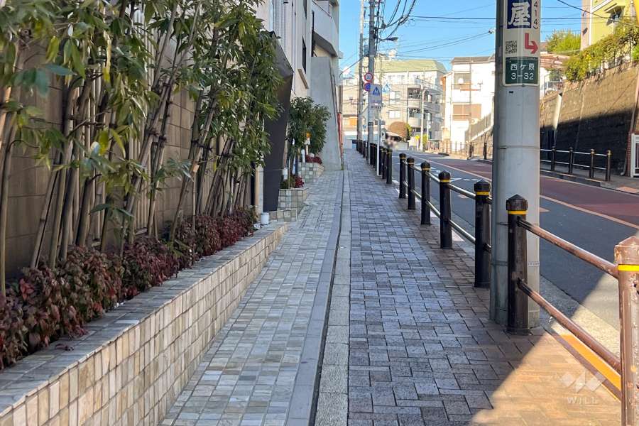 敷地東側の前面道路（南側から）