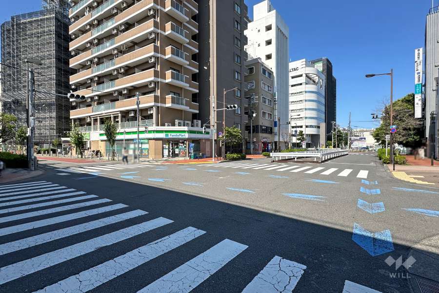 敷地南西側の前面道路　