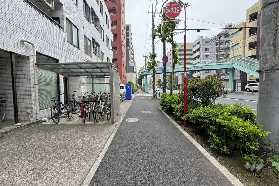 敷地の南西側前面道路（北西側から）