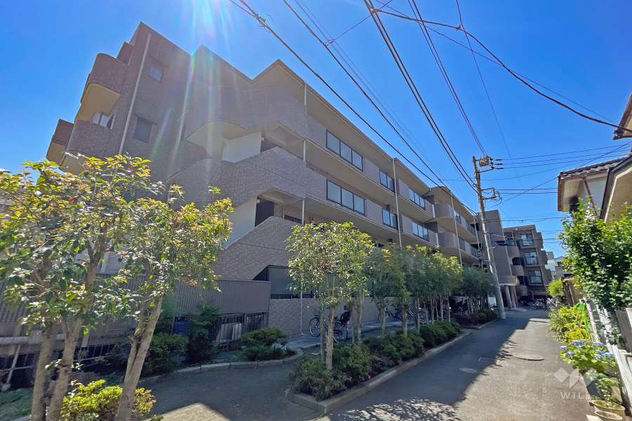 日神パレステージ志茂の外観（北西側から）