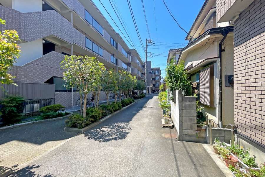 敷地の西側前面道路（北側から）