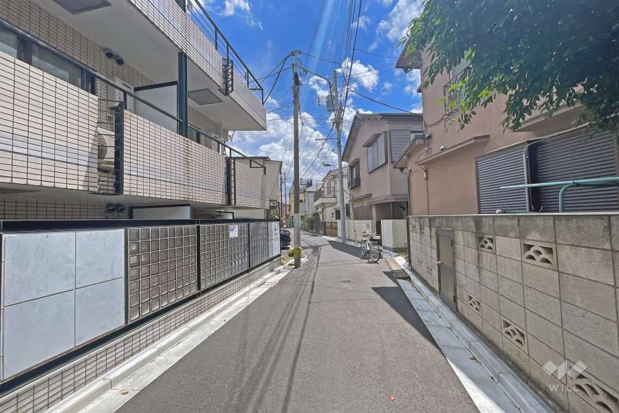 敷地の西側前面道路（北側から）