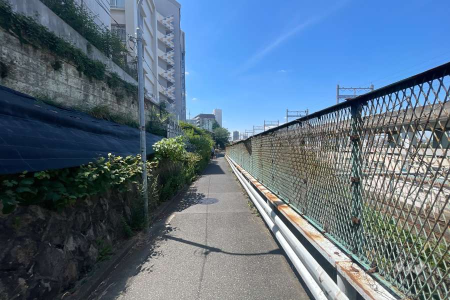 敷地の北側前面道路（東側から）