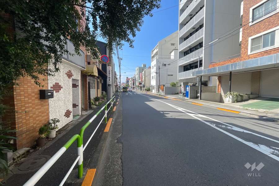 敷地の東側前面道路（北側から）