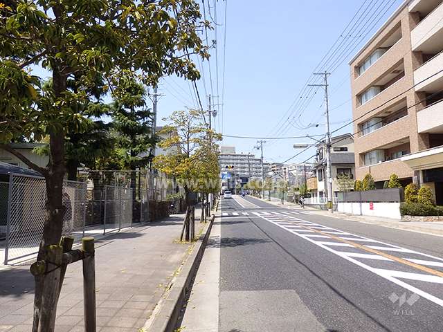 敷地南側の前面道路