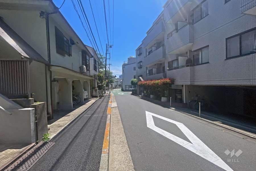 敷地の南東側前面道路（北東側から）