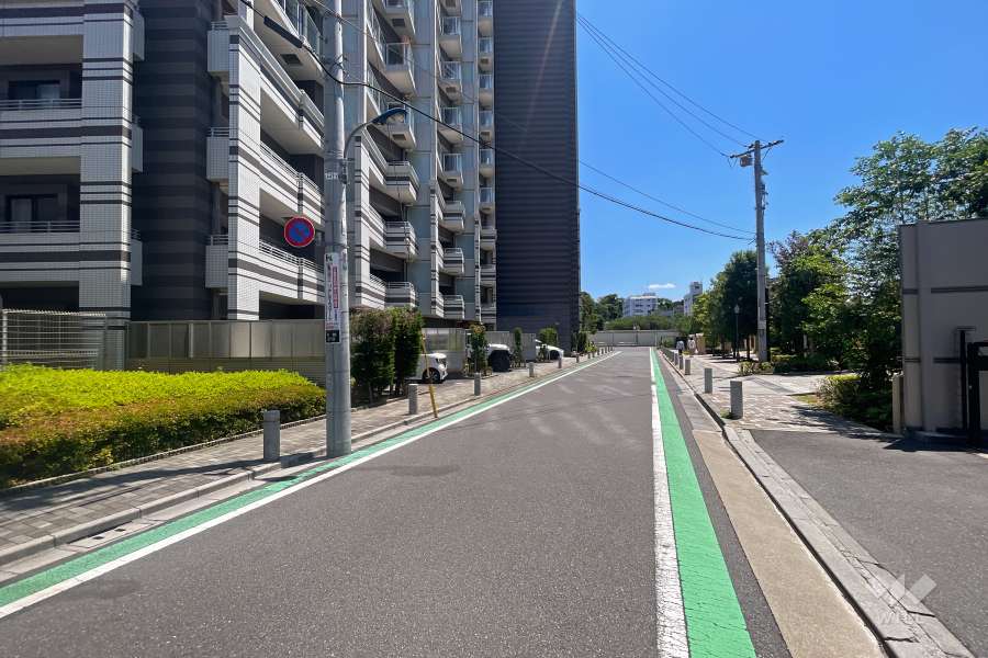 敷地西側の前面道路（北側から）