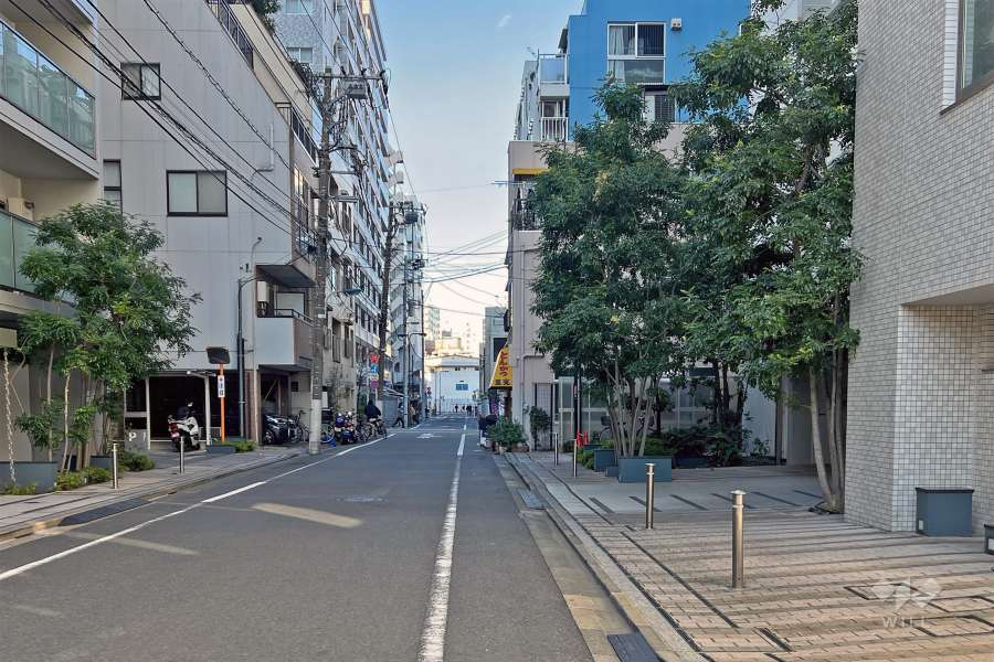 敷地の西側前面道路（南側から）