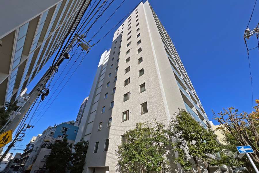 ザ・パークハウス赤羽イーストウイングの外観（南西側から）