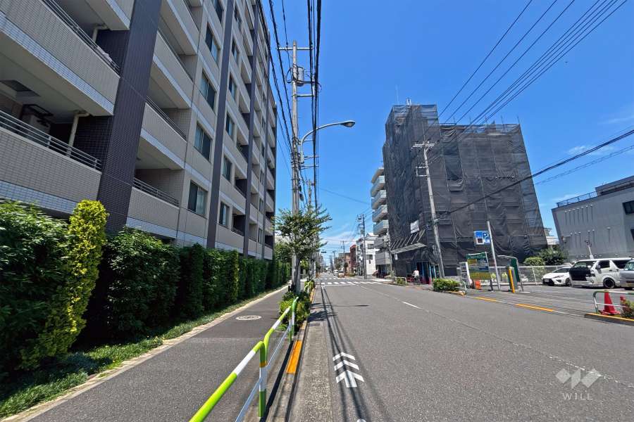 敷地の東側前面道路（南側から）