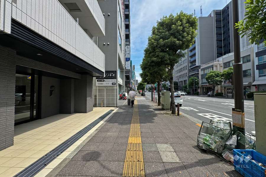 敷地西側の前面道路（北側から）
