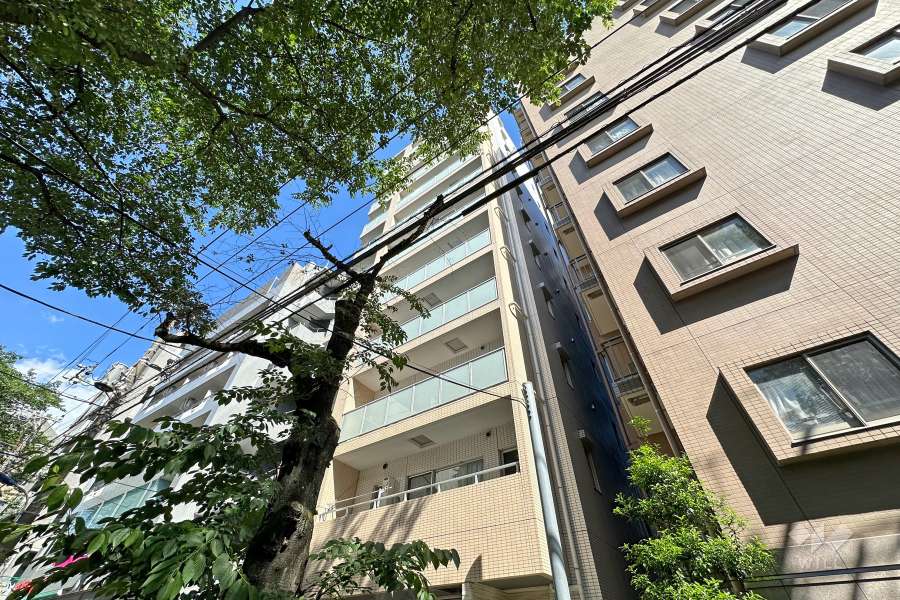 シティインデックス板橋の外観（北側から）