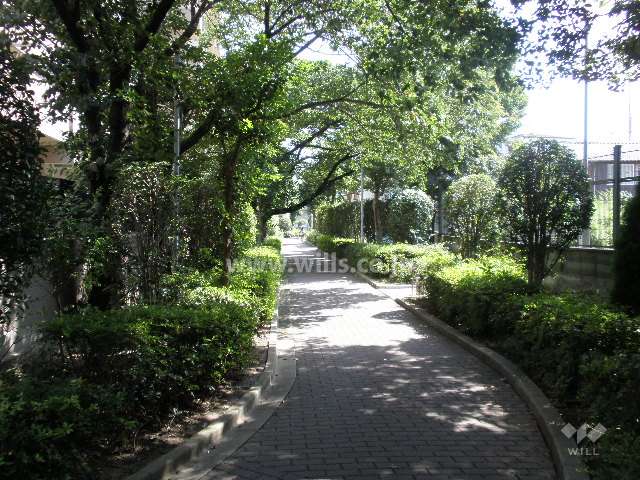 マンションの西側の小道（自転車・歩行者専用）