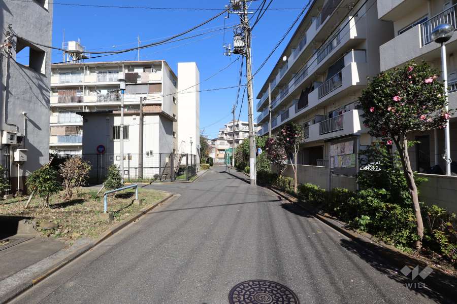 敷地の西側前面道路（南側から）