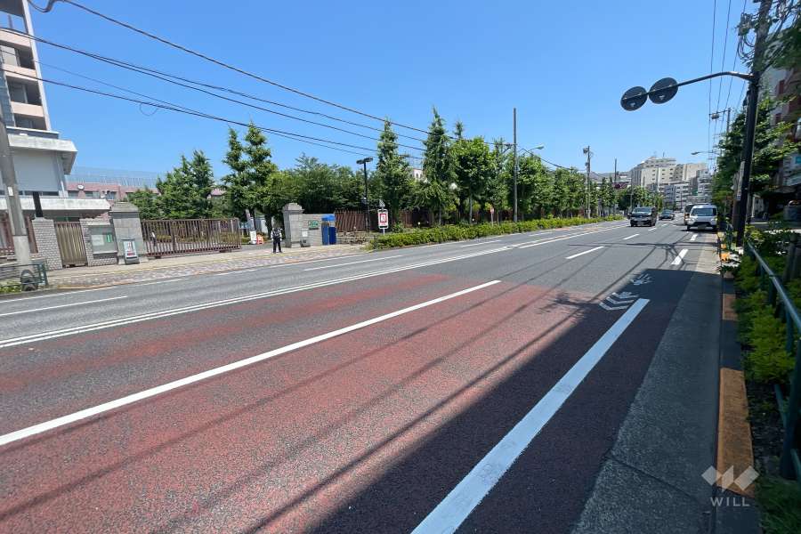 敷地北東側の前面道路（北西側から）