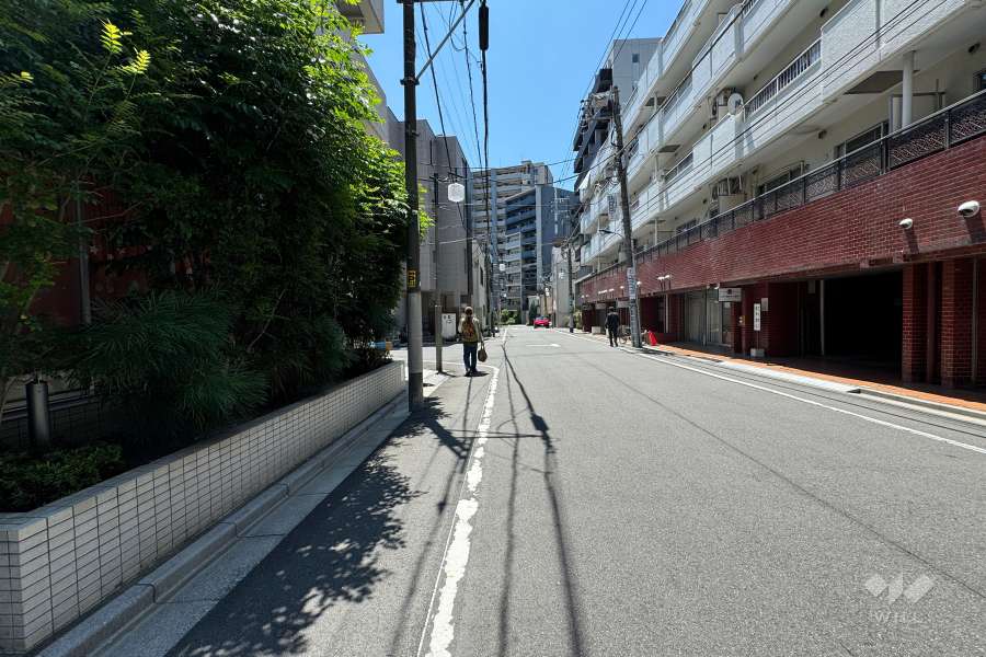 敷地の南東側前面道路（北東側から）