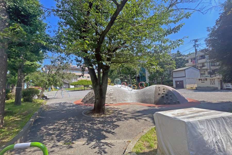 敷地に隣接した『区立島下公園』