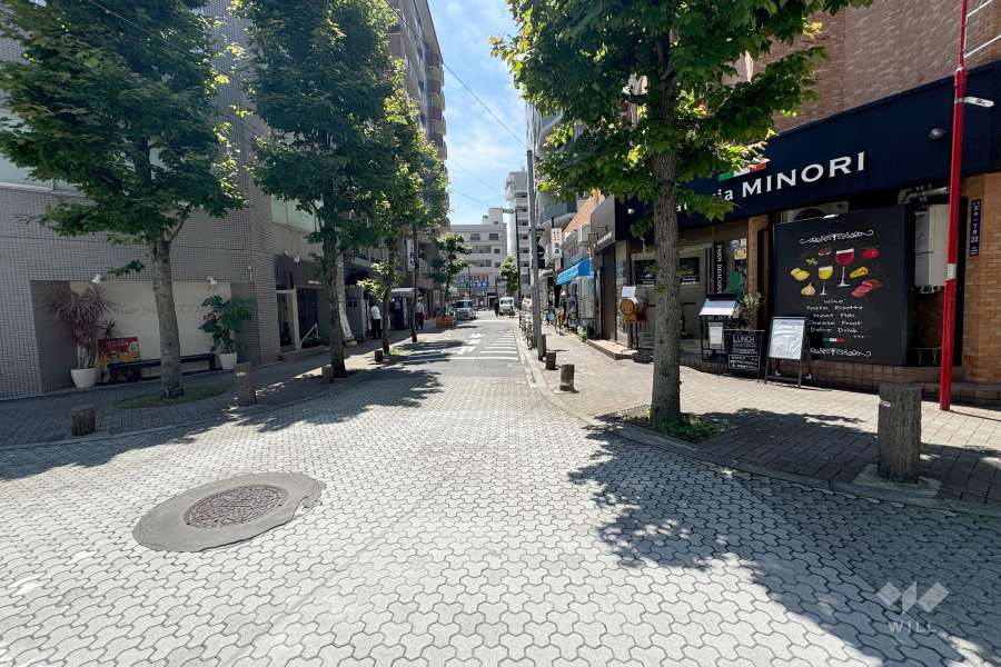敷地北東側の前面道路