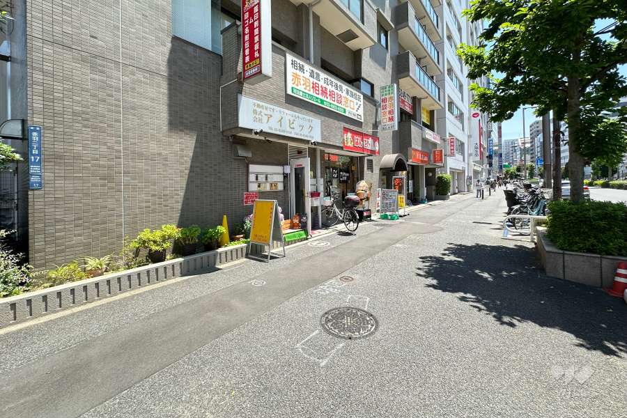 敷地の西側前面道路（北側から）