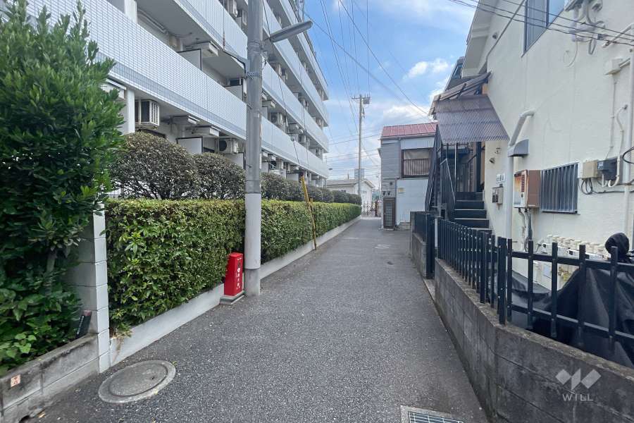 敷地南東側の前面道路　